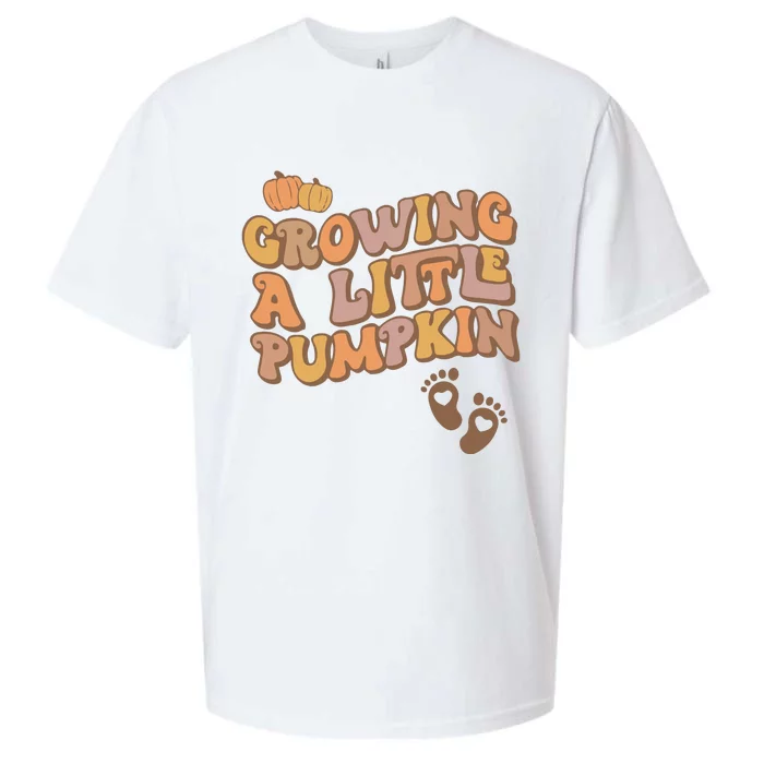 Growing A Little Pumpkin Thanksgiving Pregnancy Sueded Cloud Jersey T-Shirt