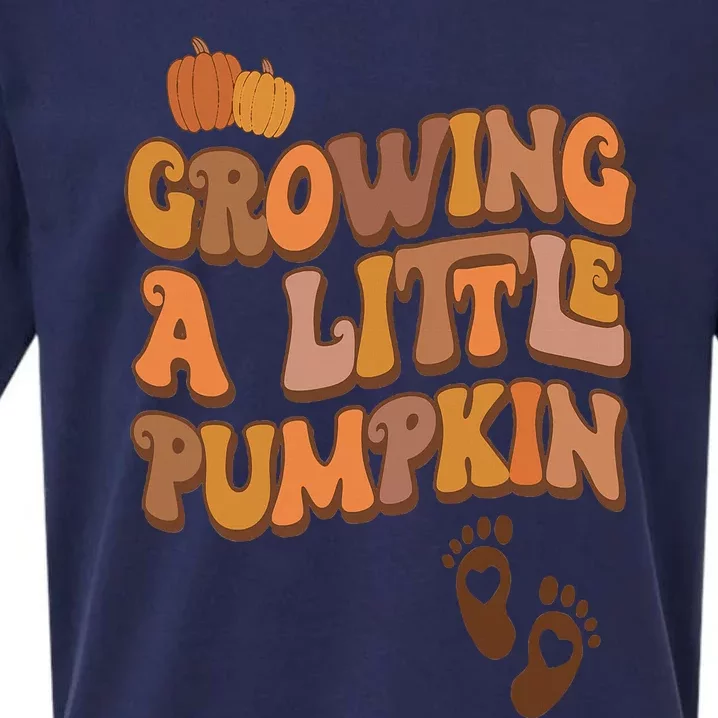 Growing A Little Pumpkin Thanksgiving Pregnancy Announcement Sueded Cloud Jersey T-Shirt