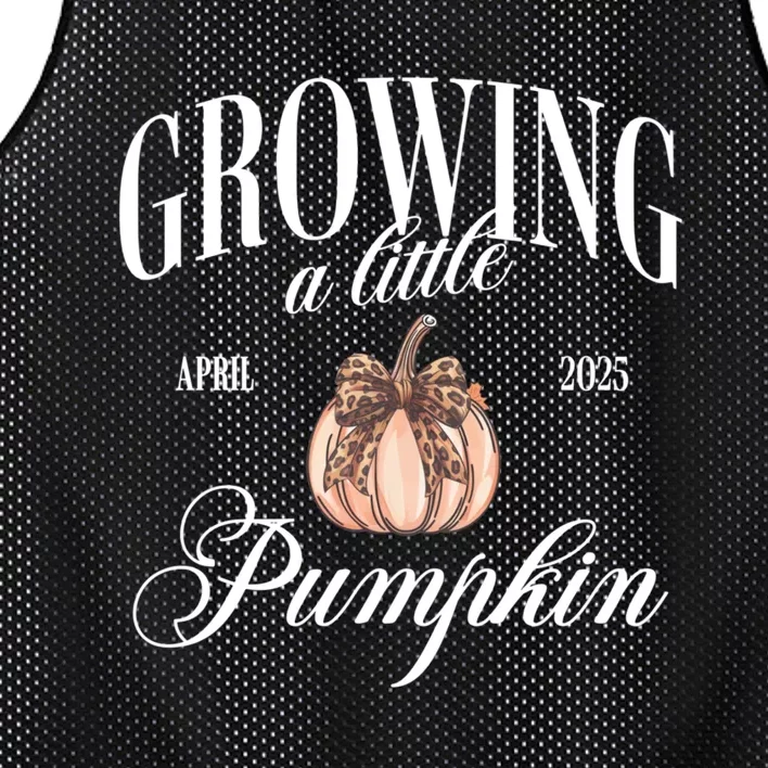 Growing A Little Pumpkin Pregnancy Announcement Halloween Mesh Reversible Basketball Jersey Tank