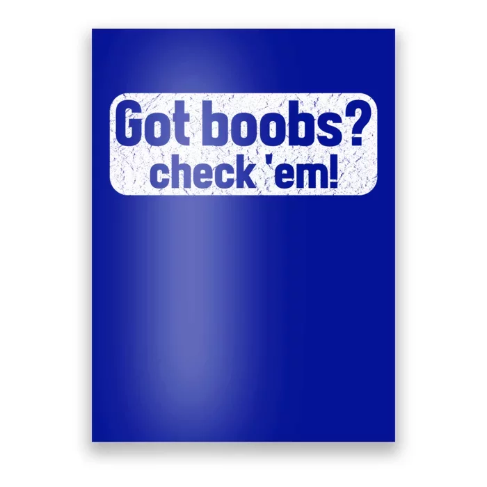 Got Boobs? Breast Cancer Awareness Vintage Great Gift Poster