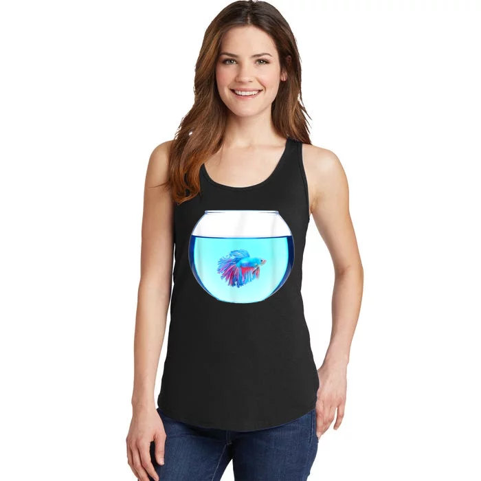 Glass Bowl Betta Fish Ladies Essential Tank