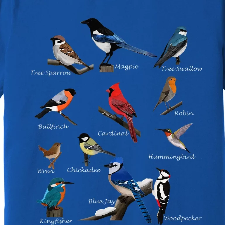 Garden Birds Cardinal Blue Jay Hummingbird Robin Wren Finch Premium T-Shirt