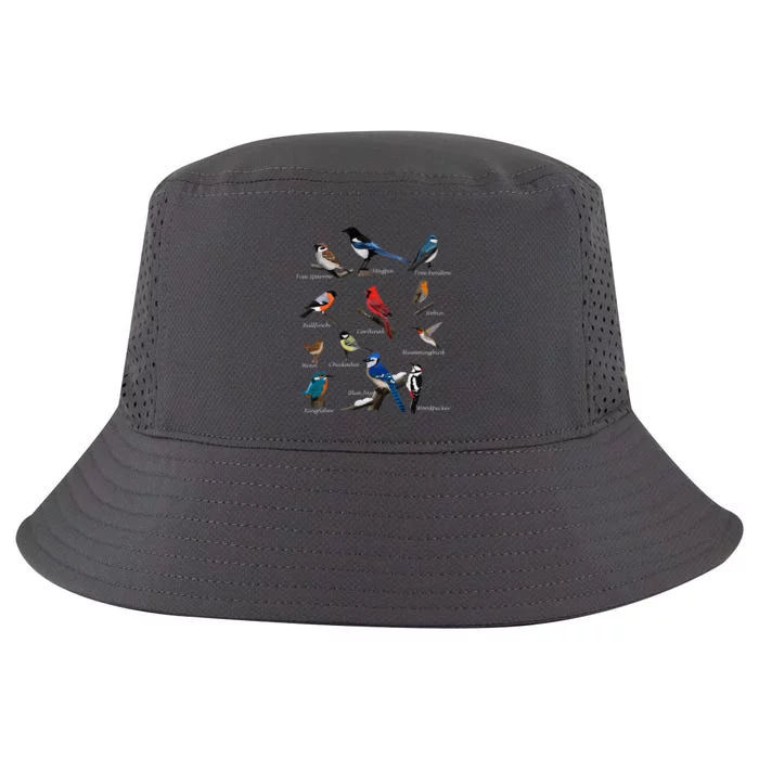 Garden Birds Cardinal Blue Jay Hummingbird Robin Cool Comfort Performance Bucket Hat