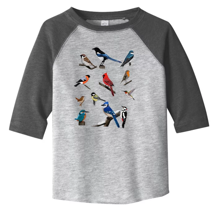 Garden Birds Cardinal Blue Jay Hummingbird Robin Toddler Fine Jersey T-Shirt