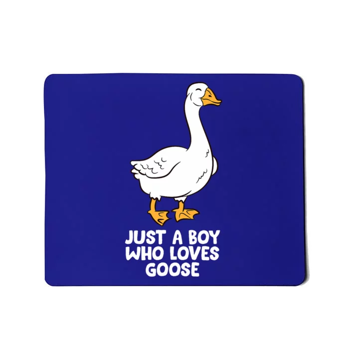 Goose Boy Gift Just A Boy Who Loves Goose Mousepad