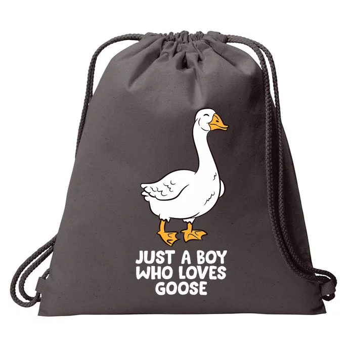 Goose Boy Gift Just A Boy Who Loves Goose Drawstring Bag