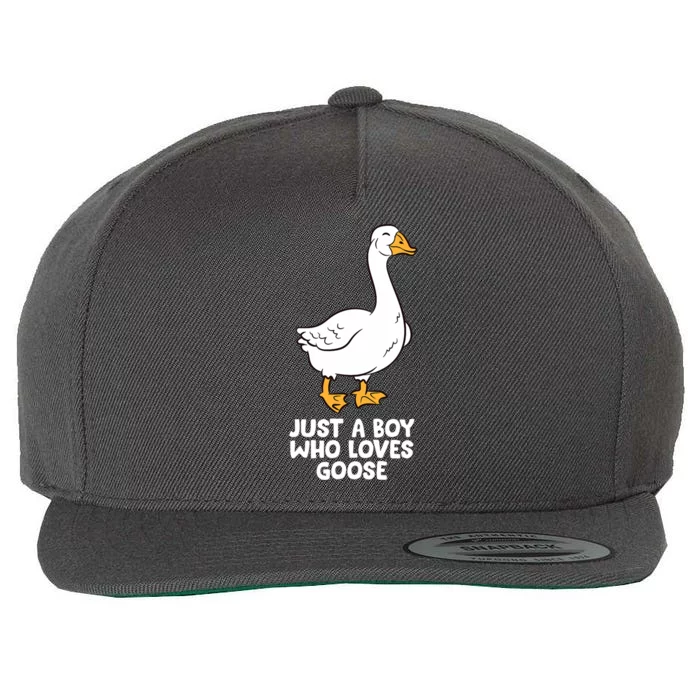 Goose Boy Gift Just A Boy Who Loves Goose Wool Snapback Cap