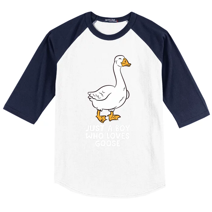 Goose Boy Gift Just A Boy Who Loves Goose Baseball Sleeve Shirt