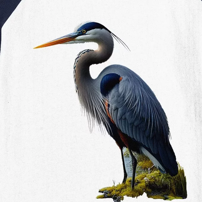 Great Blue Heron. ArtistS Rendition. Baseball Sleeve Shirt