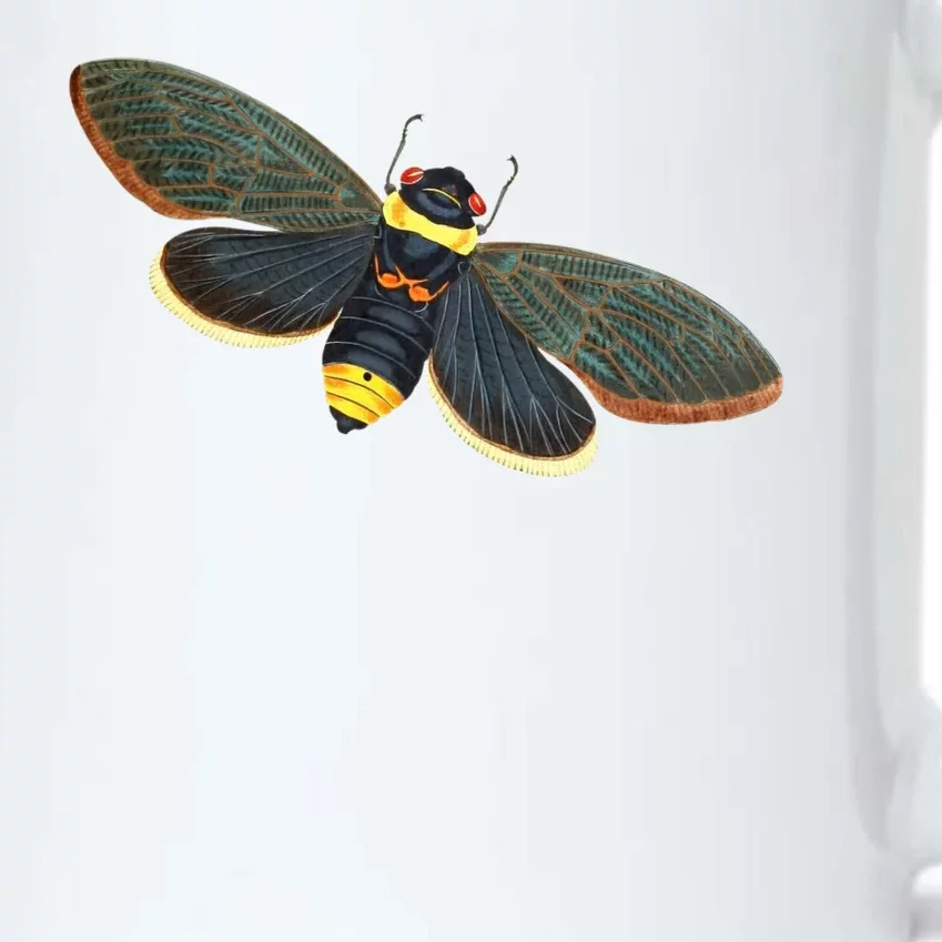 Golden Cicada 2024 Black Color Changing Mug