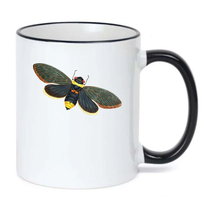 Golden Cicada 2024 Black Color Changing Mug