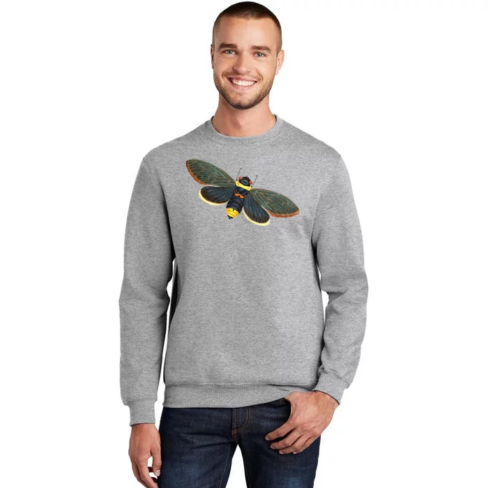 Golden Cicada 2024 Tall Sweatshirt