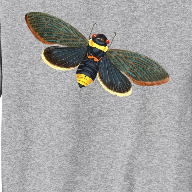 Golden Cicada 2024 Tall Sweatshirt