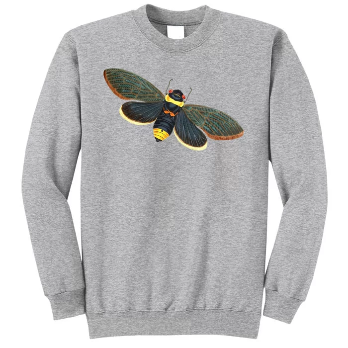 Golden Cicada 2024 Tall Sweatshirt