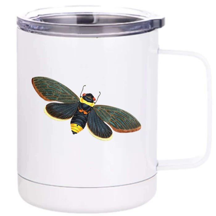 Golden Cicada 2024 Front & Back 12oz Stainless Steel Tumbler Cup