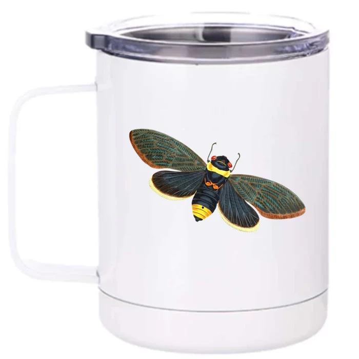 Golden Cicada 2024 Front & Back 12oz Stainless Steel Tumbler Cup