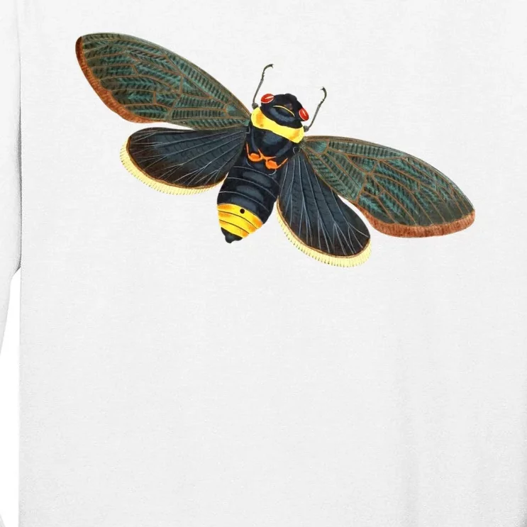 Golden Cicada 2024 Tall Long Sleeve T-Shirt