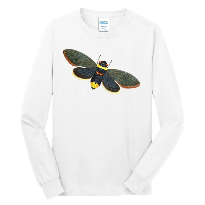 Golden Cicada 2024 Tall Long Sleeve T-Shirt