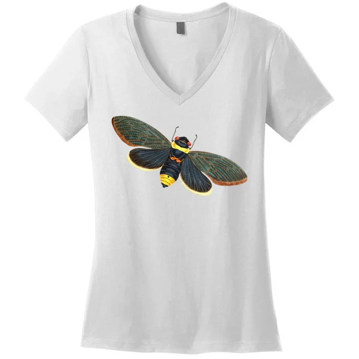 Golden Cicada 2024 Women's V-Neck T-Shirt