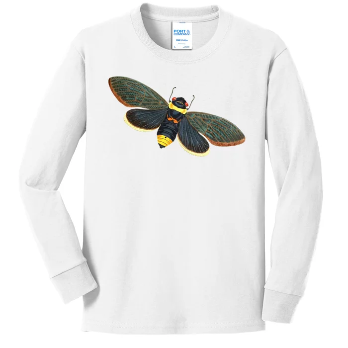 Golden Cicada 2024 Kids Long Sleeve Shirt