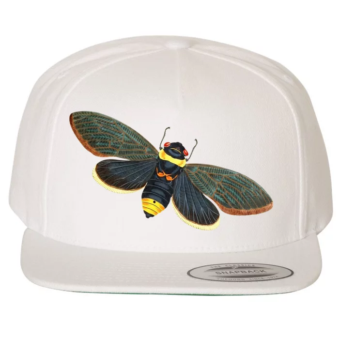 Golden Cicada 2024 Wool Snapback Cap