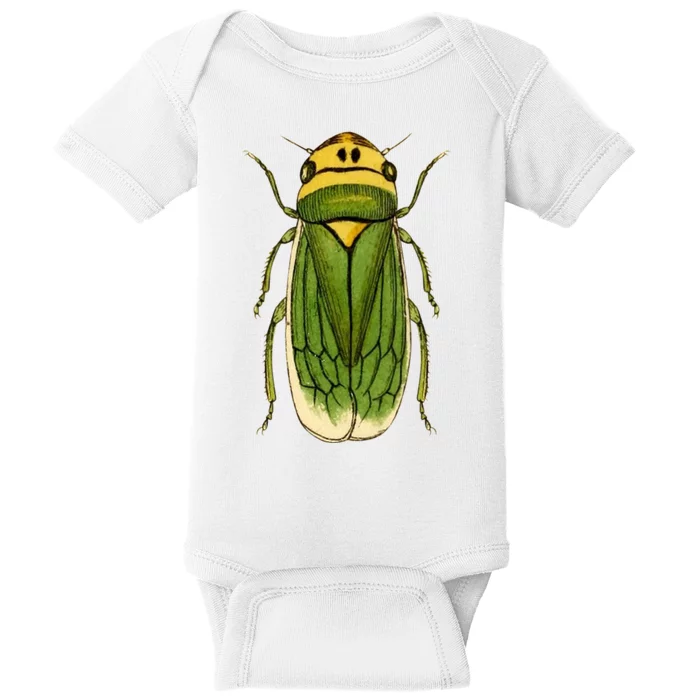 Green Cicada 2024 Baby Bodysuit