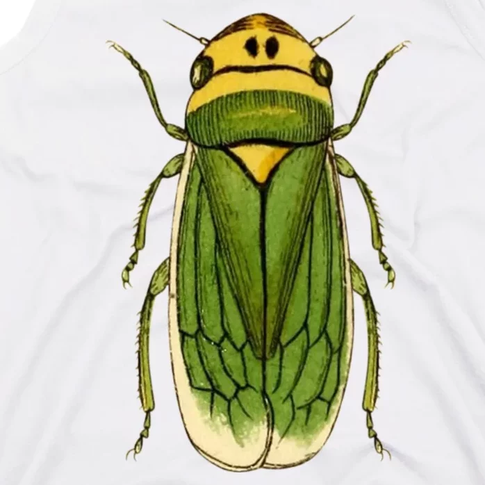 Green Cicada 2024 Tank Top