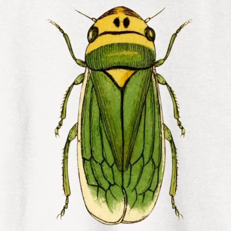 Green Cicada 2024 Women's Crop Top Tee