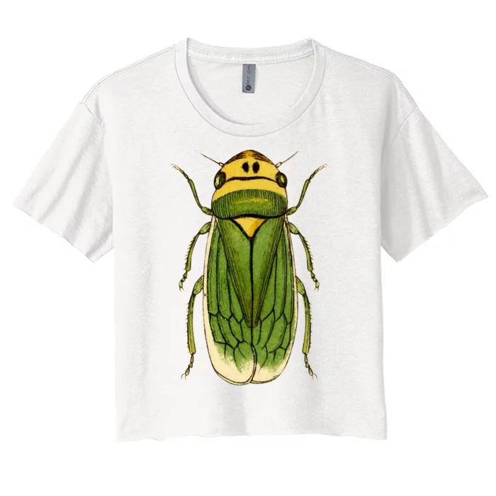 Green Cicada 2024 Women's Crop Top Tee