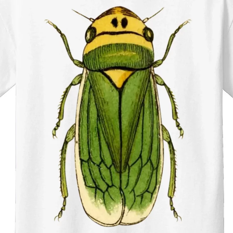 Green Cicada 2024 Kids T-Shirt