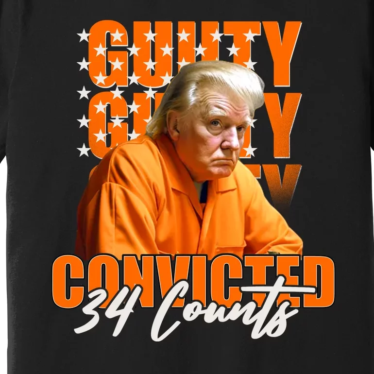 Guilty Convicted 34 Counts Trump Premium T-Shirt