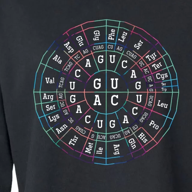 Genetic Code Biology Cropped Pullover Crew