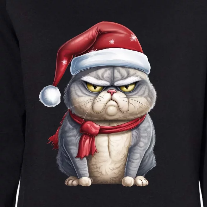 Grumpy Christmas Cat Santa Hat Womens California Wash Sweatshirt