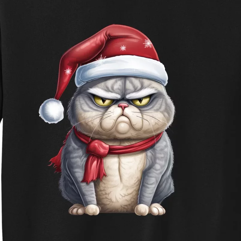 Grumpy Christmas Cat Santa Hat Tall Sweatshirt