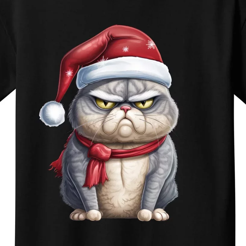 Grumpy Christmas Cat Santa Hat Kids T-Shirt