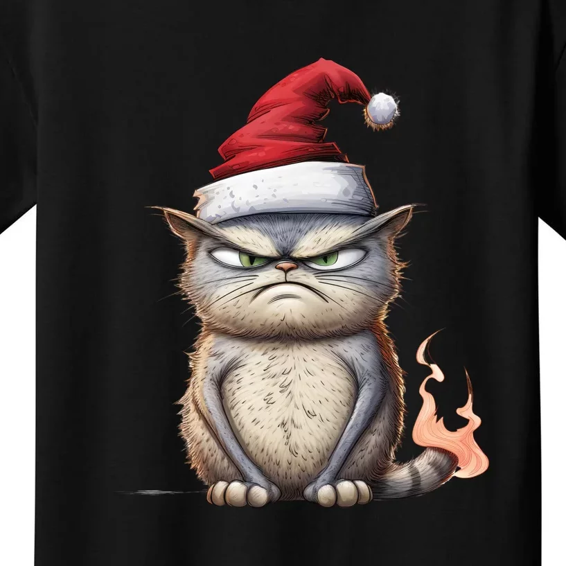 Grumpy Christmas Cat Santa Hat Kids T-Shirt