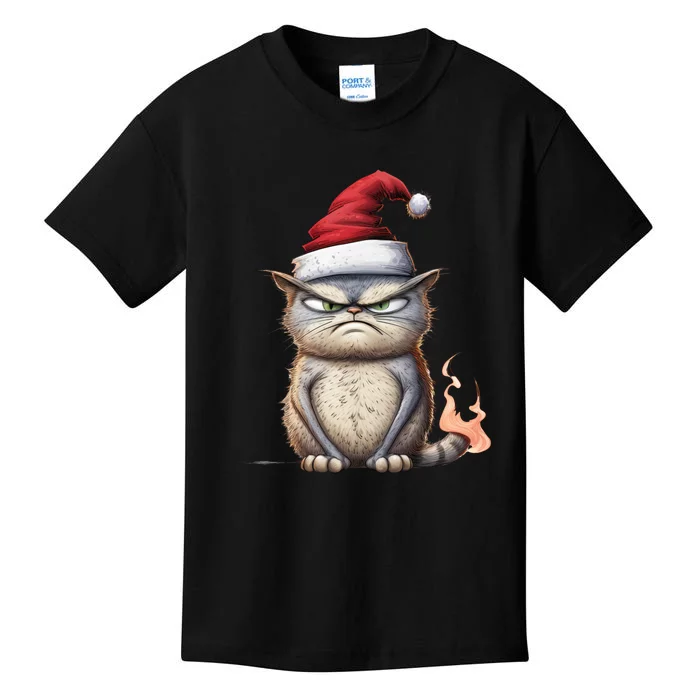 Grumpy Christmas Cat Santa Hat Kids T-Shirt