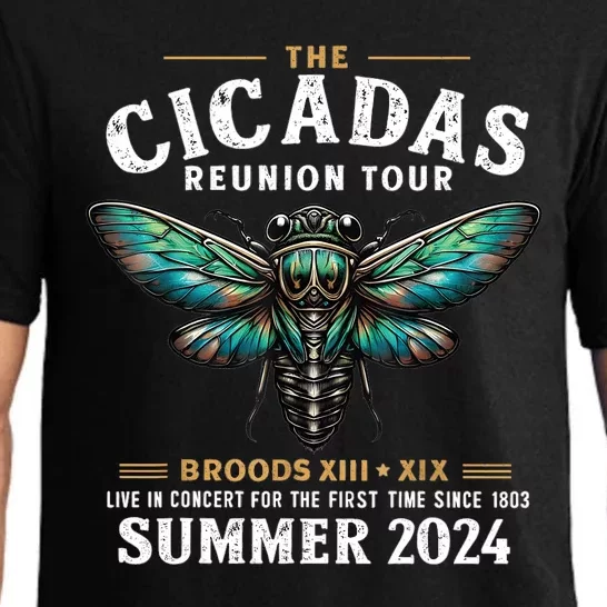 Great Cicada Come Back 2024 Cicada Invasion 2024 Pajama Set