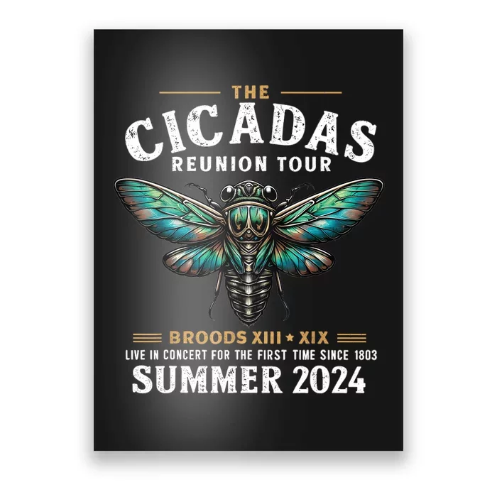 Great Cicada Come Back 2024 Cicada Invasion 2024 Poster