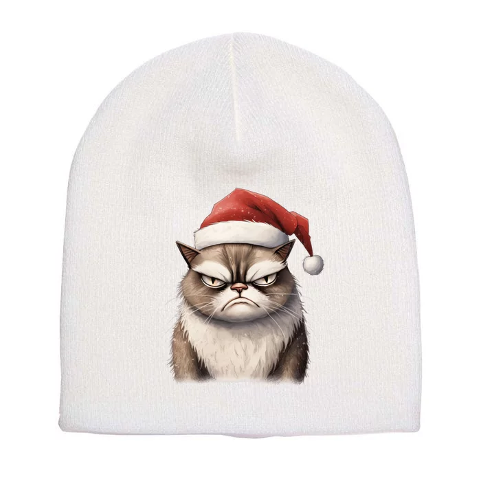 Grumpy Christmas Cat Santa Hat Short Acrylic Beanie