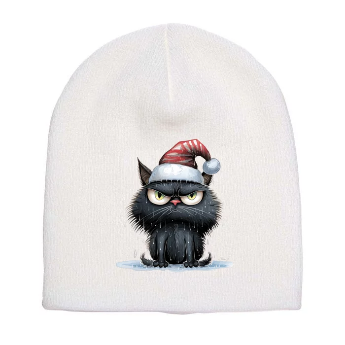 Grumpy Christmas Cat Santa Hat Short Acrylic Beanie