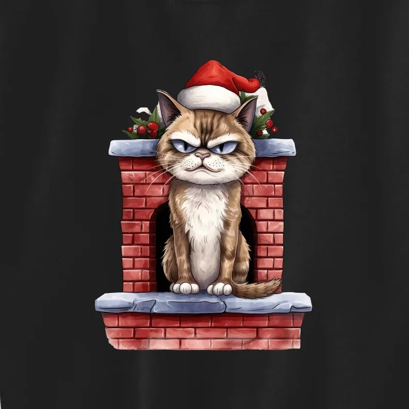 Grumpy Christmas Cat Chimney Kids Sweatshirt