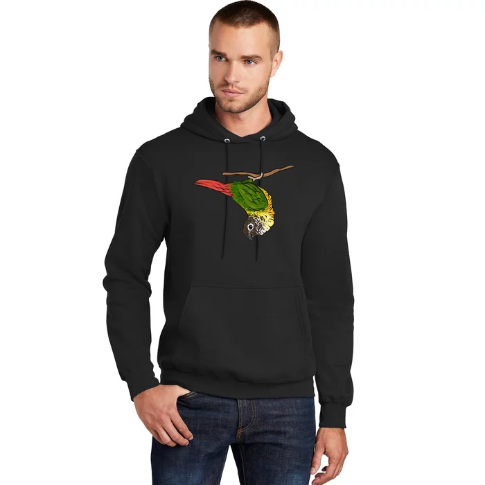 Green Cheek Conure Parrot Bird Conure Hoodie