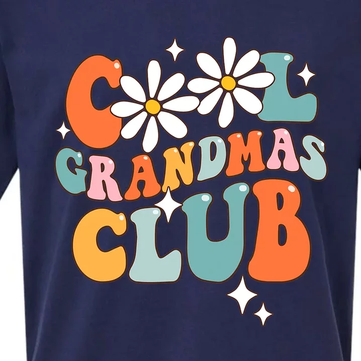 Groovy Cool Grandmas Club Funny Smile Mothers Day Sueded Cloud Jersey T-Shirt