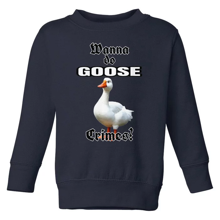 Goose Crimes Toddler Sweatshirt