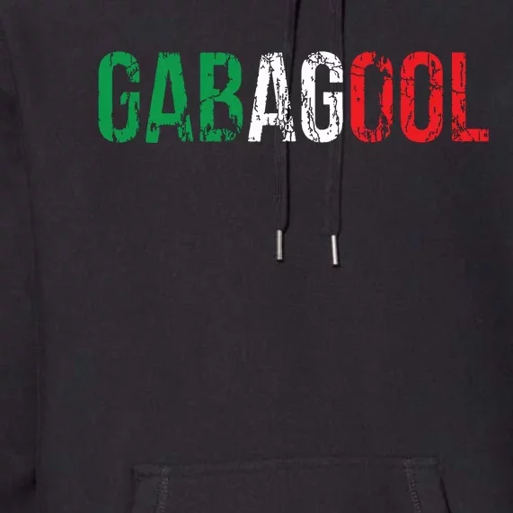 Gabagool Capicola Meat New Jersey Italian Pride Gift Premium Hoodie