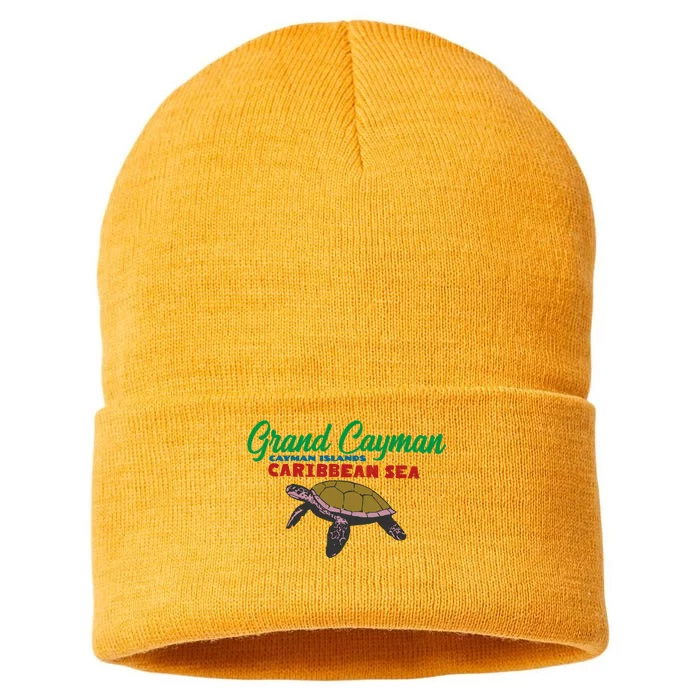 Grand Cayman Sea Turtles Sustainable Knit Beanie