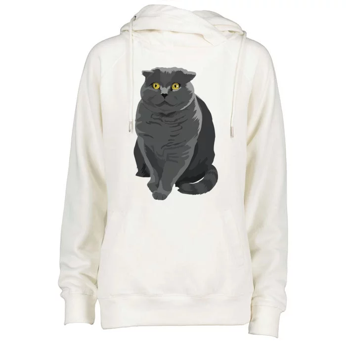 Grey Cat Yellow Eyes Meowy Cat Feline Kitten Lover Gift Womens Funnel Neck Pullover Hood