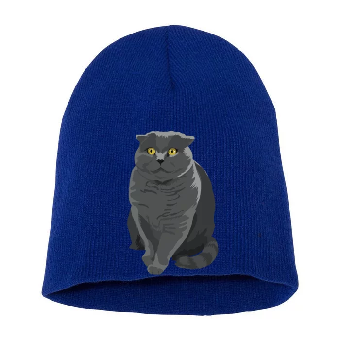 Grey Cat Yellow Eyes Meowy Cat Feline Kitten Lover Gift Short Acrylic Beanie