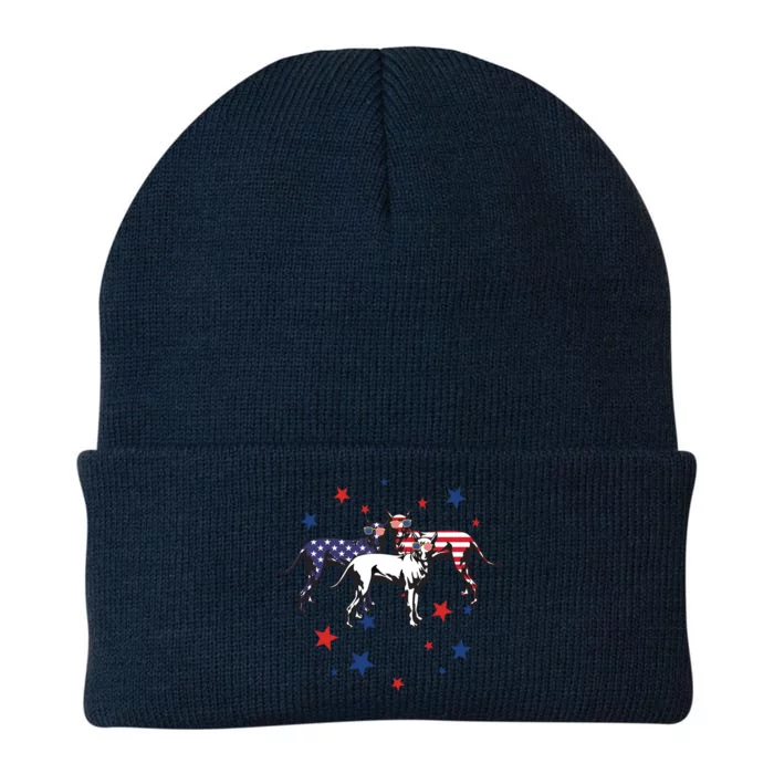 Great Dane American Flag 4Th Of July Gift Knit Cap Winter Beanie